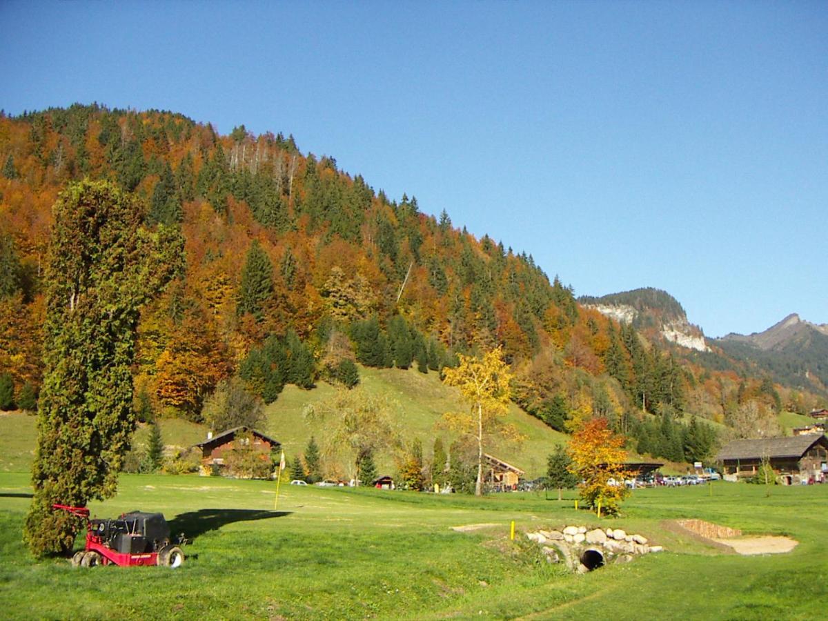 "Chalet Les Aravis" Chalet Et Appartements Le Grand-Bornand Εξωτερικό φωτογραφία